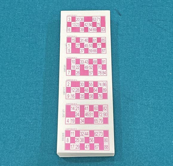 Imagen de Serie Bingo 2016 Cartones Fucsia